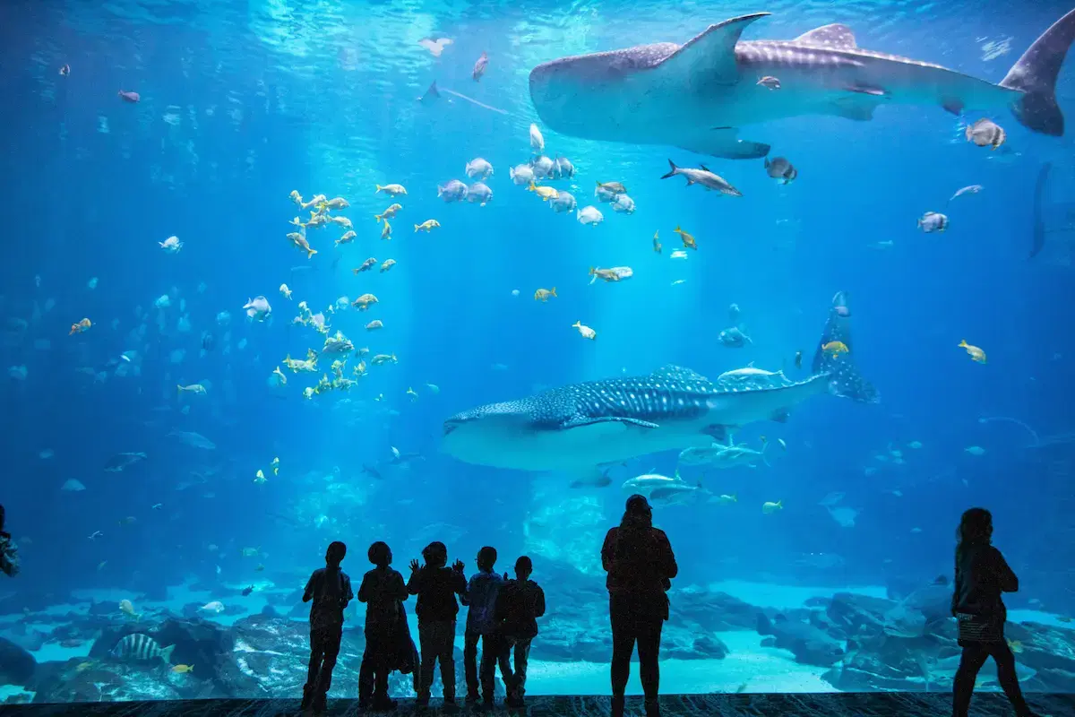 佐治亚水族馆